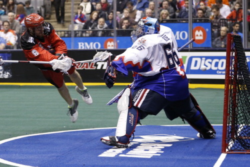 Toronto Rock versus Calgary Roughnecks