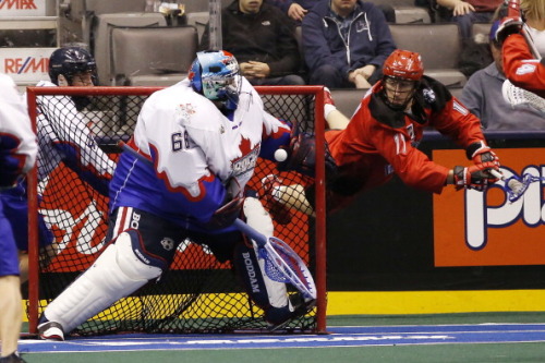 Toronto Rock versus Calgary Roughnecks