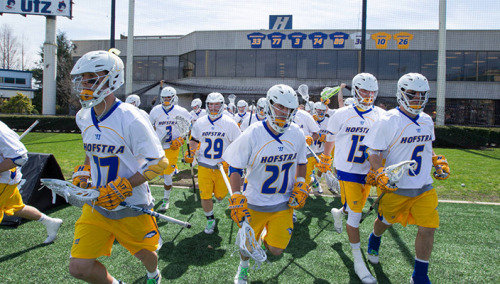 hofstra lax