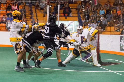 arrows vs adanacs