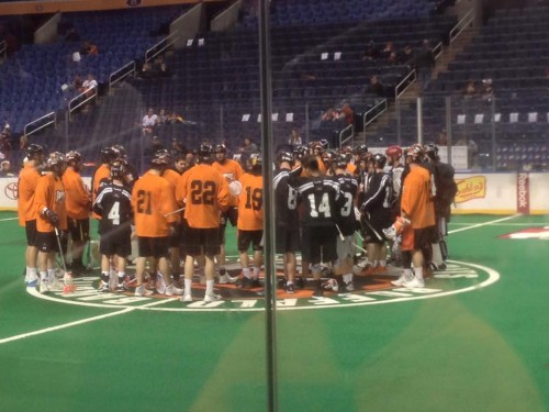 bandits blackwolves