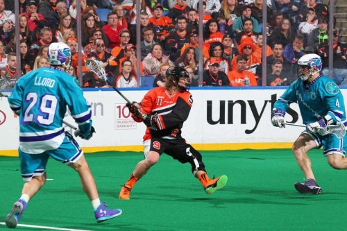 steenhius bandits knighthawks