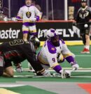 Sneaky Seals take lead from Wings